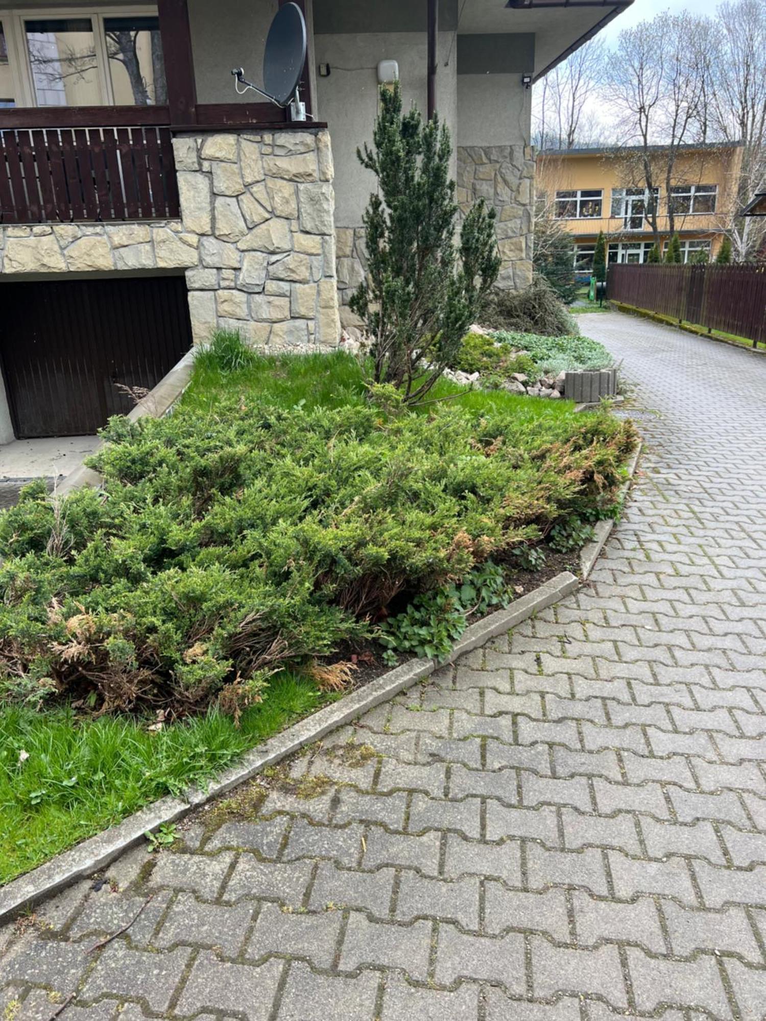 Apartament Sniezka Zakopane Exterior photo